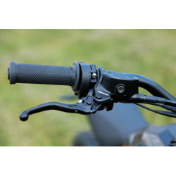 Talaria Sting Pro L1E red